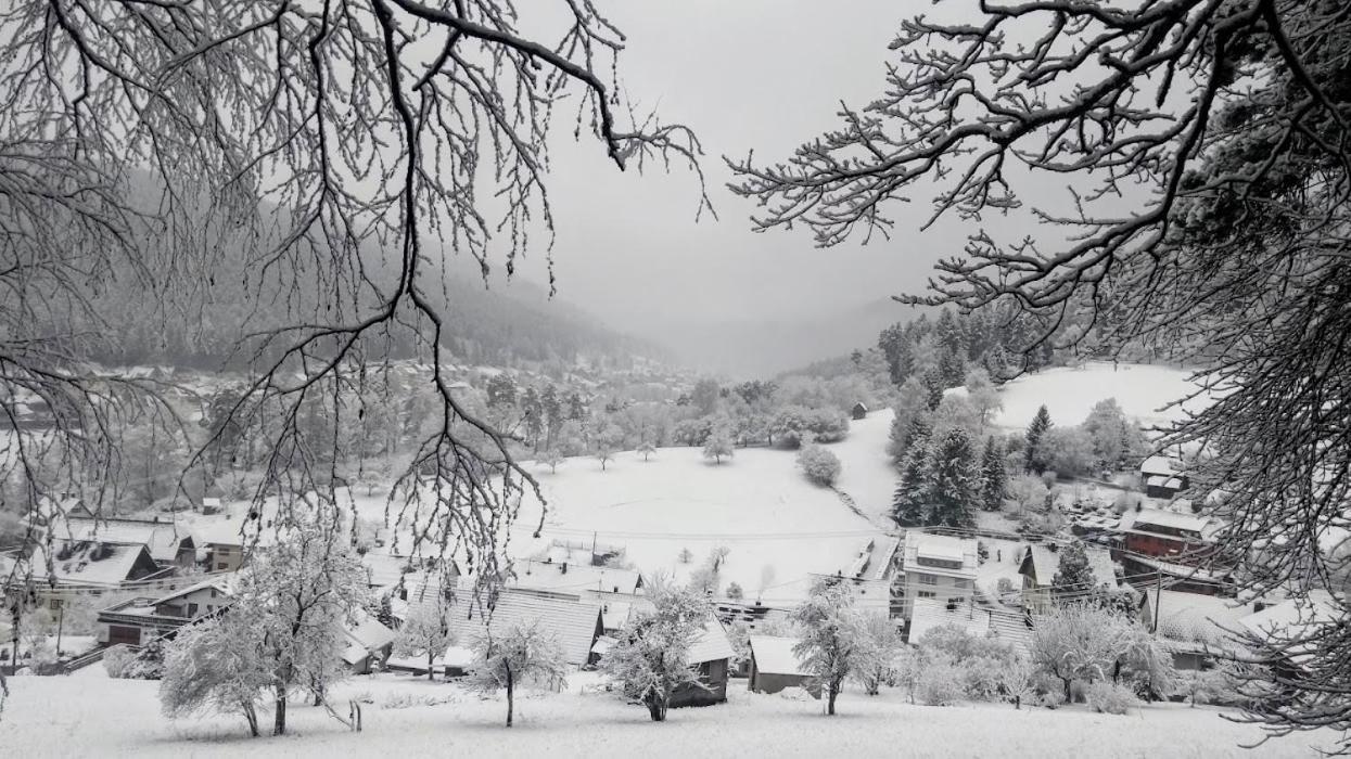Ferienwohnung Mit Aussicht Enzklösterle Dış mekan fotoğraf