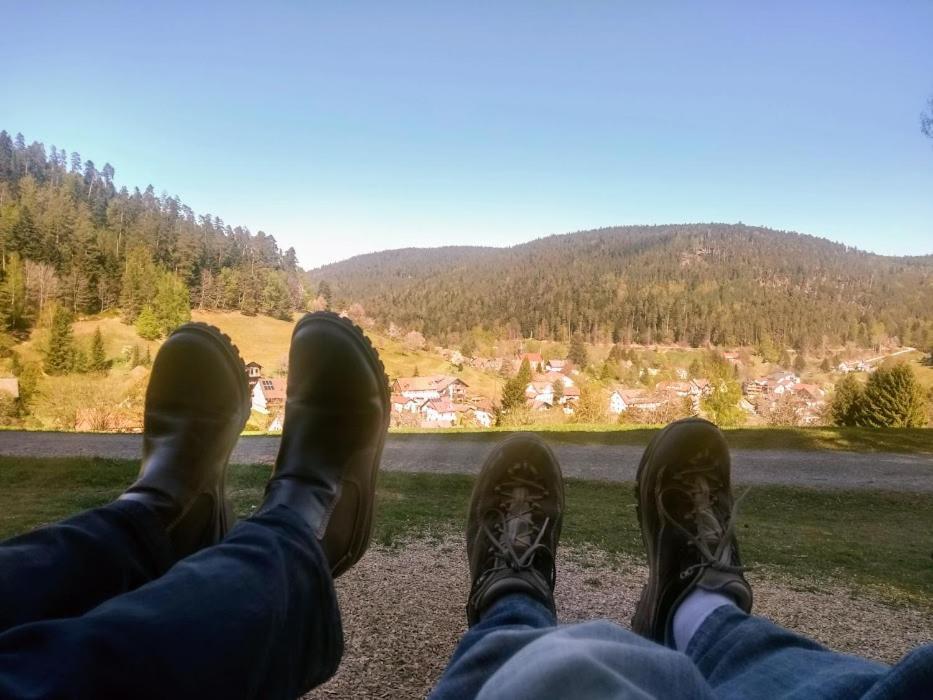 Ferienwohnung Mit Aussicht Enzklösterle Dış mekan fotoğraf