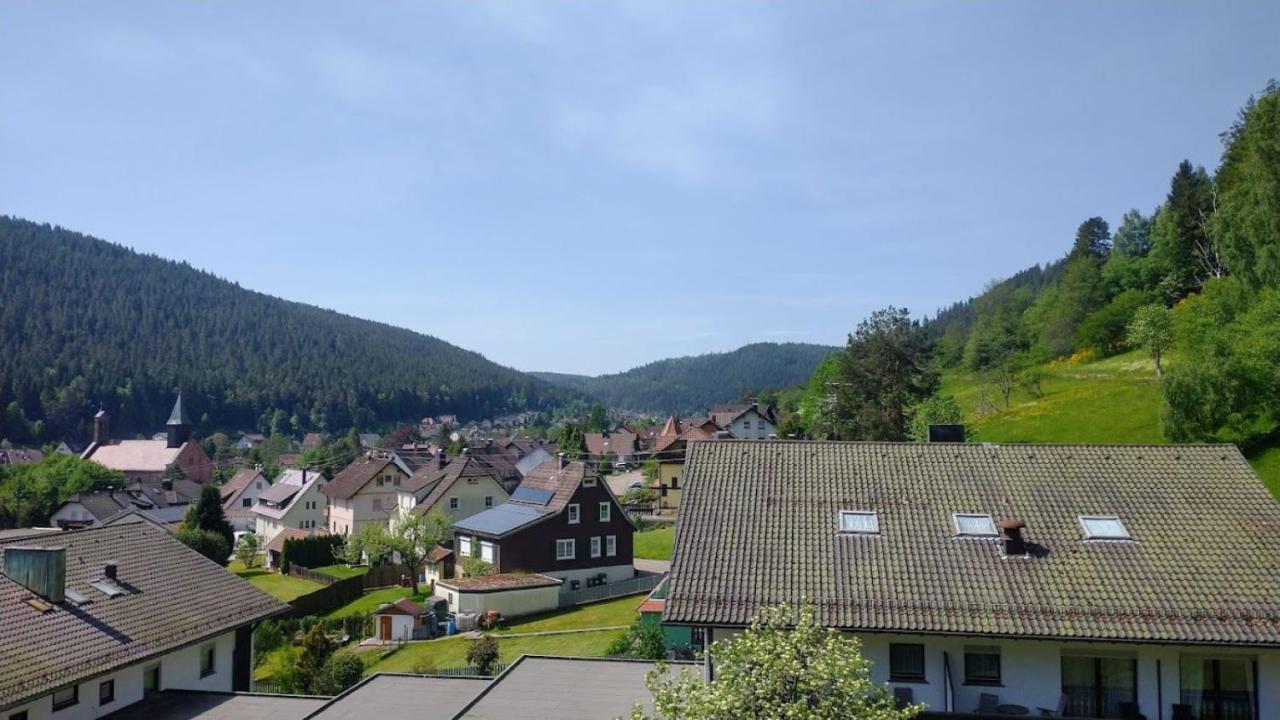 Ferienwohnung Mit Aussicht Enzklösterle Dış mekan fotoğraf